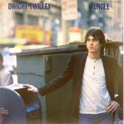 Пластинка Dwight Twilley Jungle